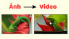 Từ khóa tạo hình ảnh và video trong giáo dục