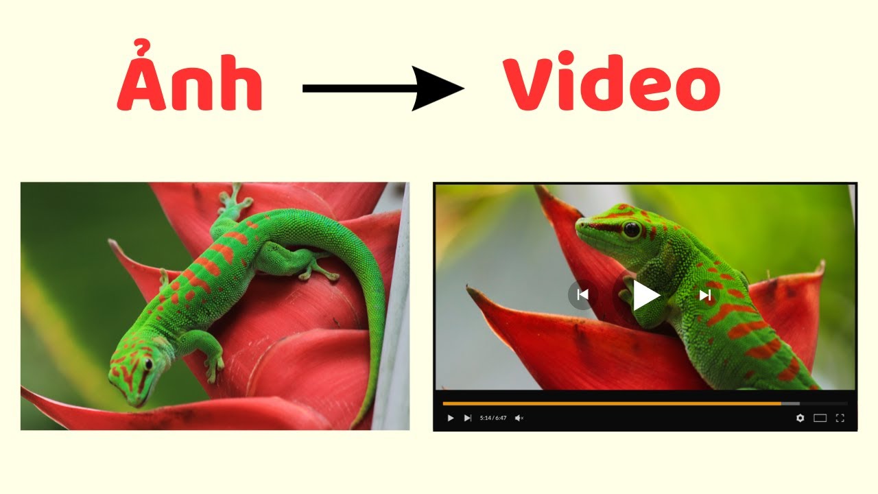 Từ khóa tạo hình ảnh và video trong giáo dục